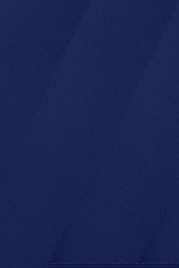 Bardot Pleated Midi Dress - Navy Blue DR1092A