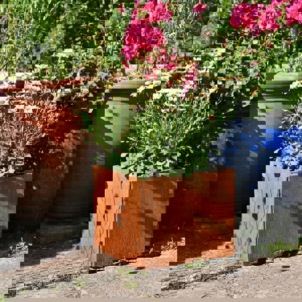 square metal plant pot