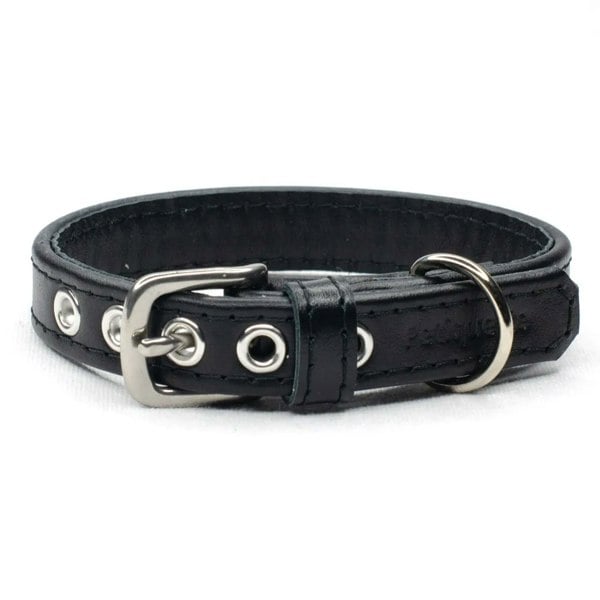 black leather dog collar - Petiquette Collars