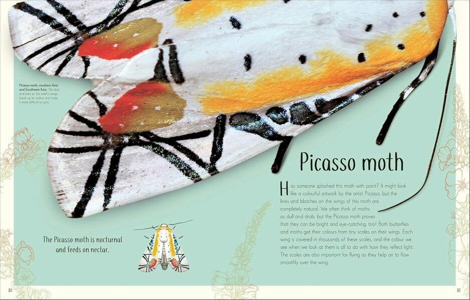 An Anthology of Remarkable Bugs: Discover the Hidden Wonders of the Insect World (DK Children's Anthologies)