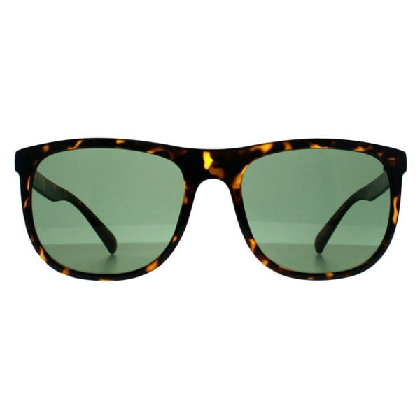 Calvin Klein Sunglasses CK22557S 240 Shiny Havana Green