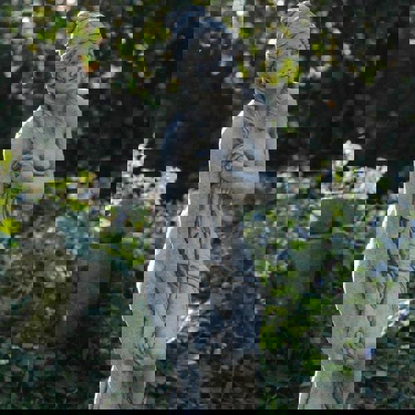 Bathing Lady Classic Stone Cast Woman Statue