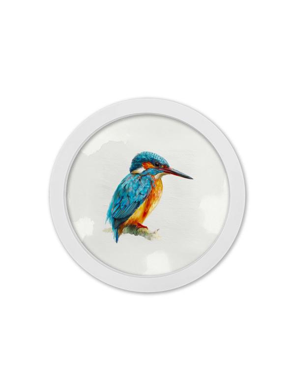 Exceptional Art Watercolour Kingfishers - 30cm White Round Box Frame