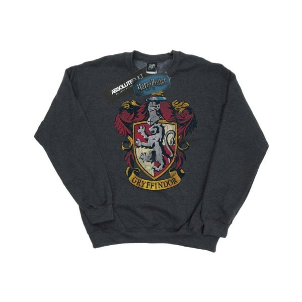 Harry Potter Boys Gryffindor Sweatshirt - Dark Heather