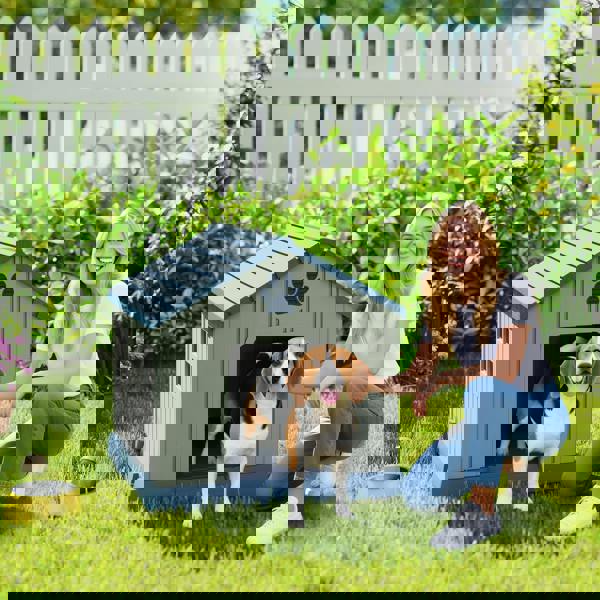 D02-247V00GYD02-247V00GY