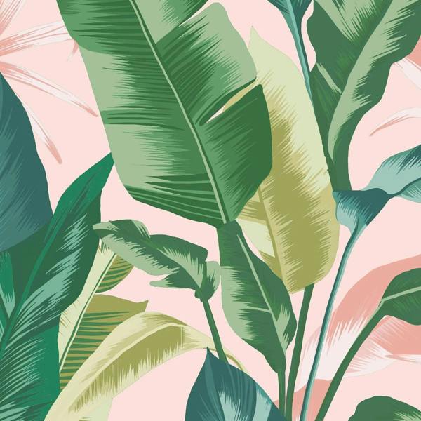 Envy Leaf It Out Wallpaper - Sunrise - 10m