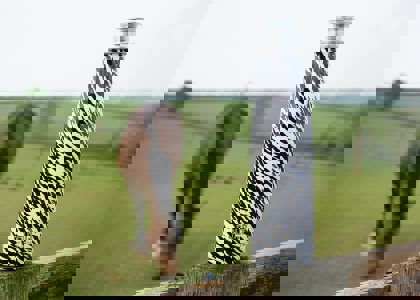 Built New York Built 500ml Double Walled Stainless Steel Water Bottle Zebra