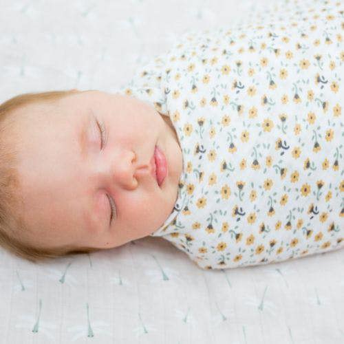 Lulujo - Cotton Swaddle - Vintage Floral & Dragonfly - 2 Pack