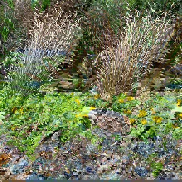 tickit Wooden Forest Animal Blocks