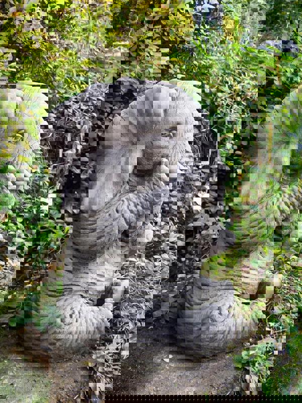 Lovely Trunk-Down Large Elephant Garden Ornament