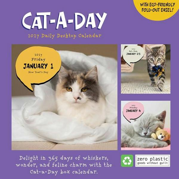 Cat A Day Desk Calendar 2027, Desk Calendars, Day To View, Cats, Gift