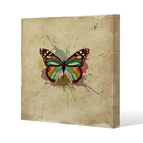 Benjamin Tate Design Butterfly & Paint Splats Slim Style Canvas Print  75x75cm , 15mm Slim Real wood.