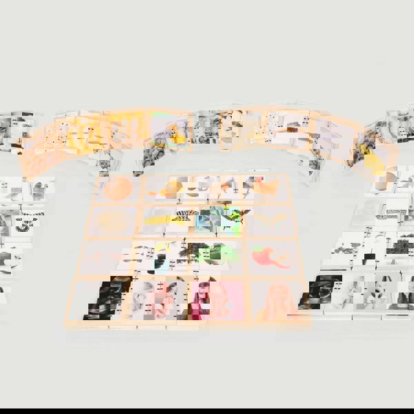 tickit Wooden Lifecycle Tiles