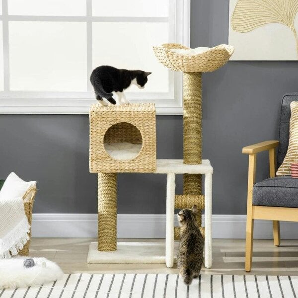 Cat Tree, with Scratching Posts, Bed, Cat House - Natural Finish - Natural Wood