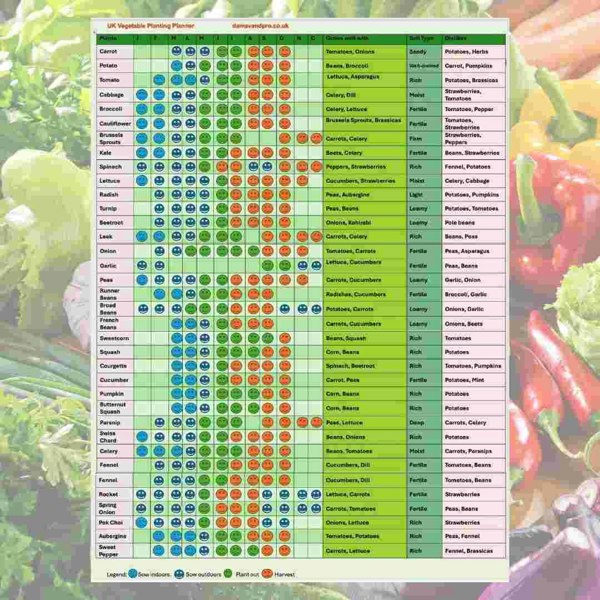 A3 Laminated Allotment Planting Calendar UK