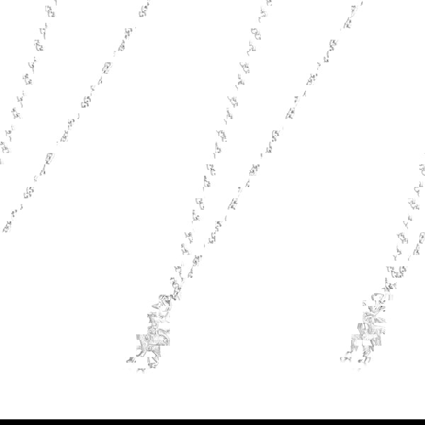 Mylee London Dachshund Silver Necklace - Personalised