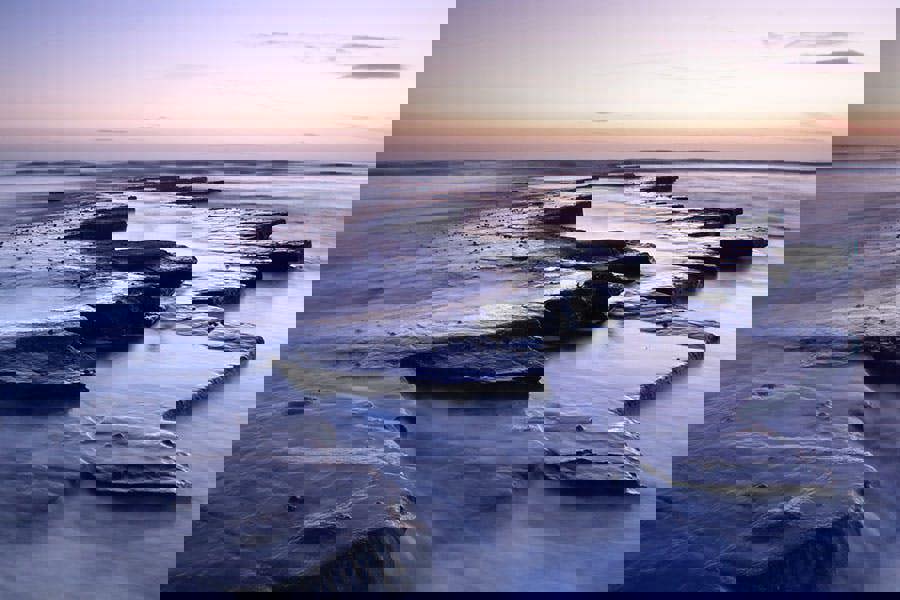 lilac walkway art print by Kathy White