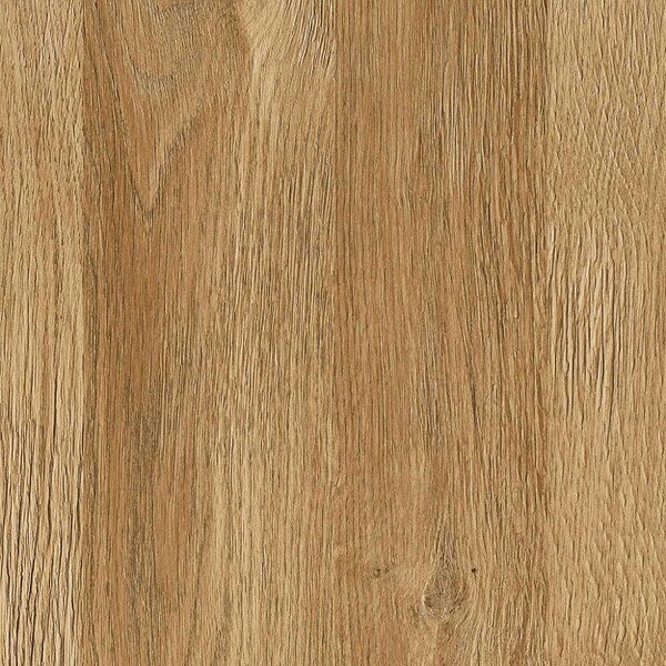 Wyld Haus Cortina 2 Door 1 Drawer Tall TV Cabinet in Grandson Oak