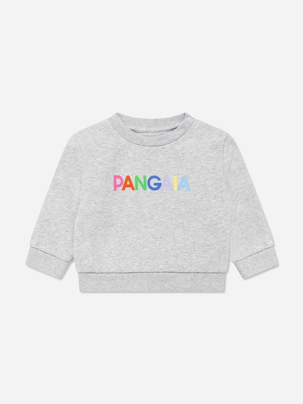 PANGAIA Baby 365 Graphic Sweatshirt in Grey