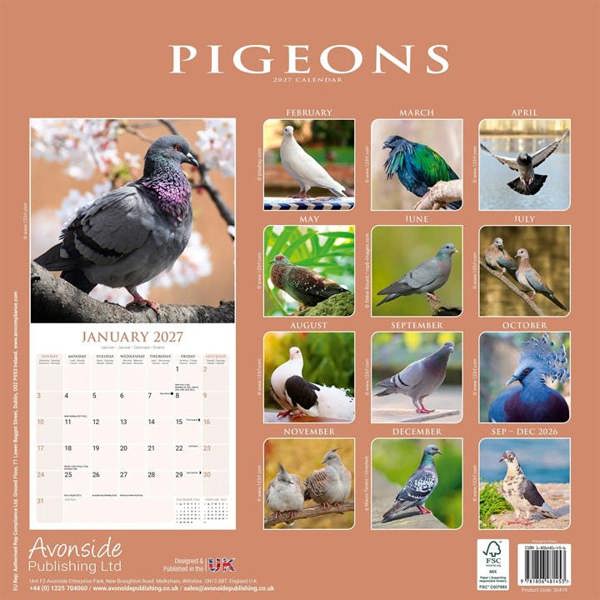 Pigeons Calendar 2027, Wall Calendars, Month To View, Animals, Gift