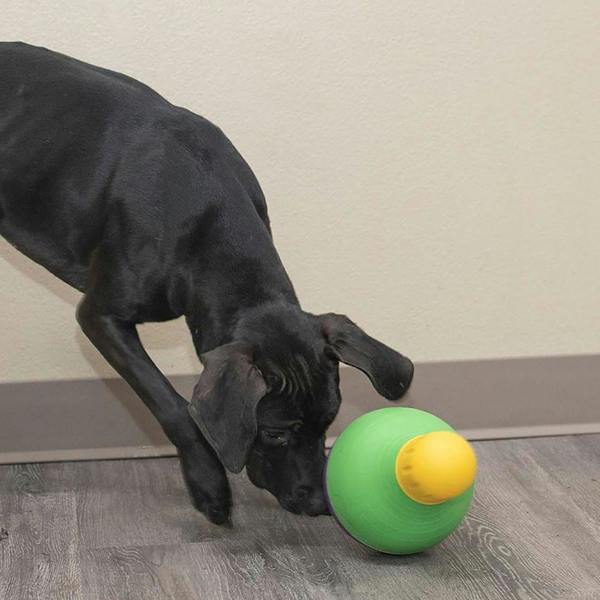 Rosewood Starmark Bob A Lot Dog Toy (Small)