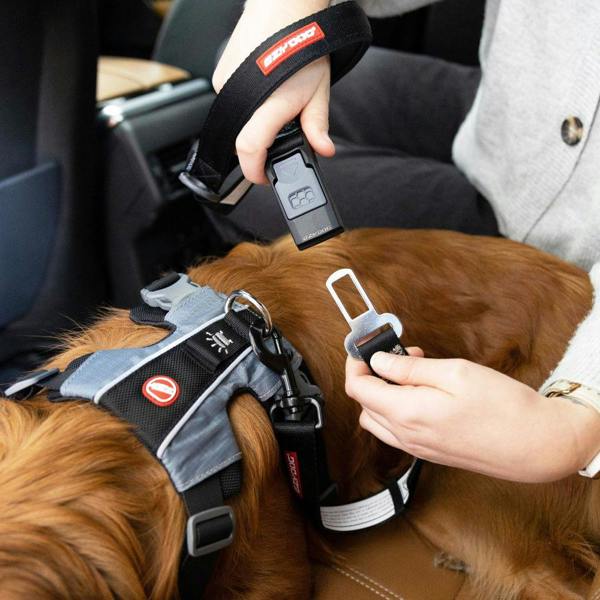 EzyDog Click Lead Handle for Seatbelt