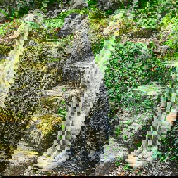 Single Large Sitting Greyhound Statue