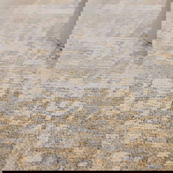 Asiatic Anders AN04 Distressed Rug