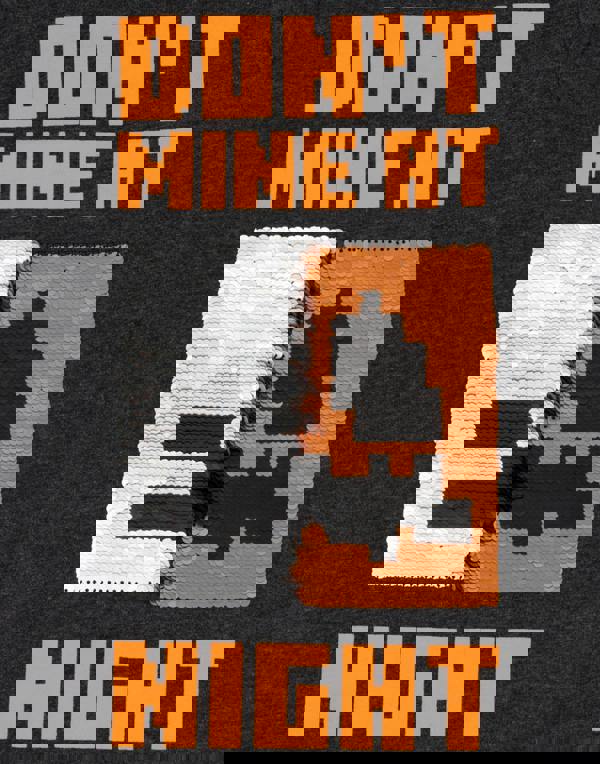 Minecraft Boys Grey Don'T Mine At Night Sequin Graphic Short Sleeved T-Shirt