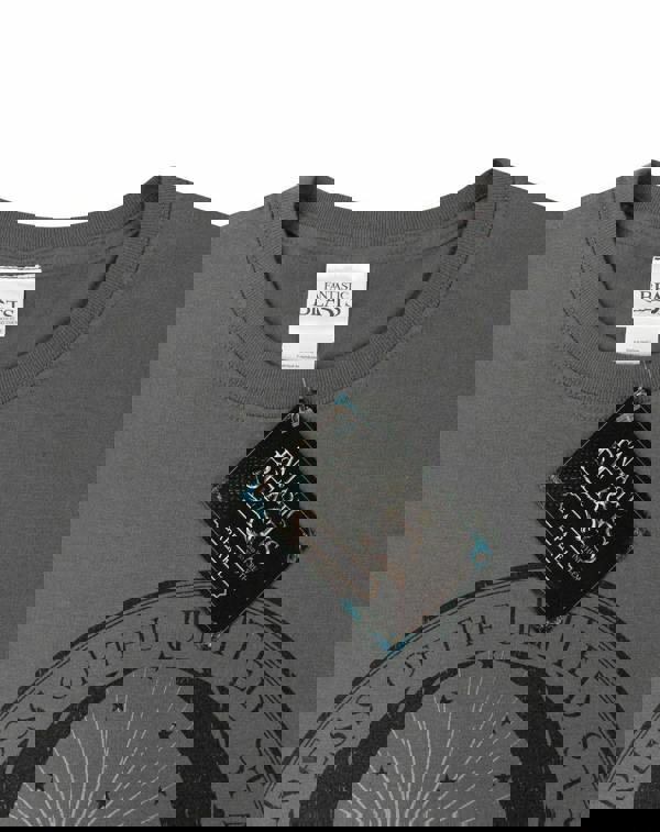 Fantastic Beasts And Where To Find Them Mens Grey Macusa Symbol Short Sleeved T-Shirt