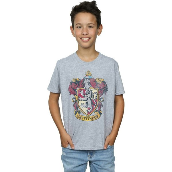 Harry Potter Boys Gryffindor T-Shirt - Sports Grey