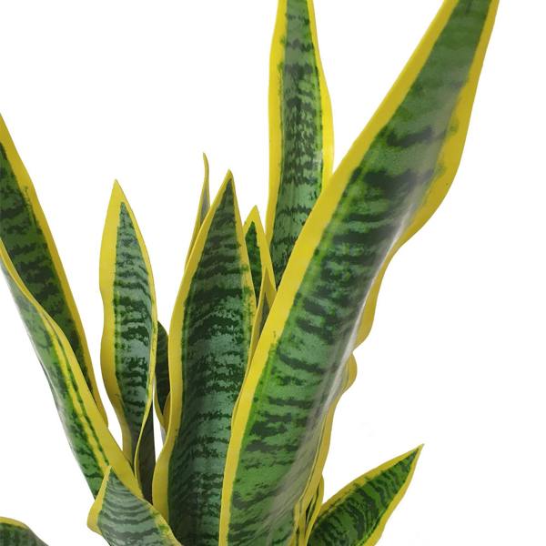 Artificial Dracaena Trifasciata Snake Plant 65cm - Evergreenery