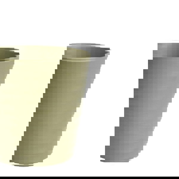 #color_olive