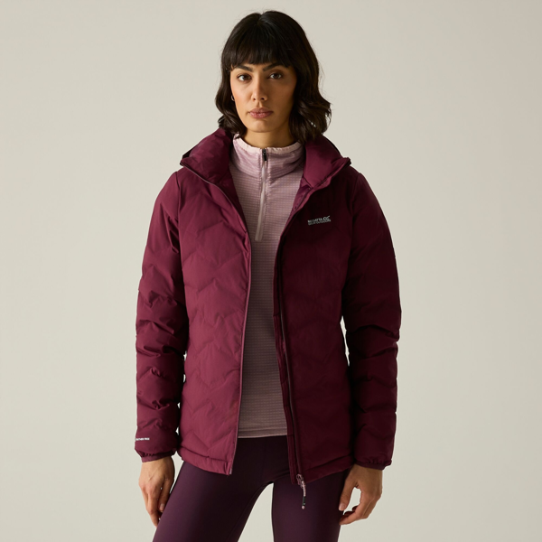 Regatta Womens/Ladies Deyla Quilted Padded Jacket - Fig