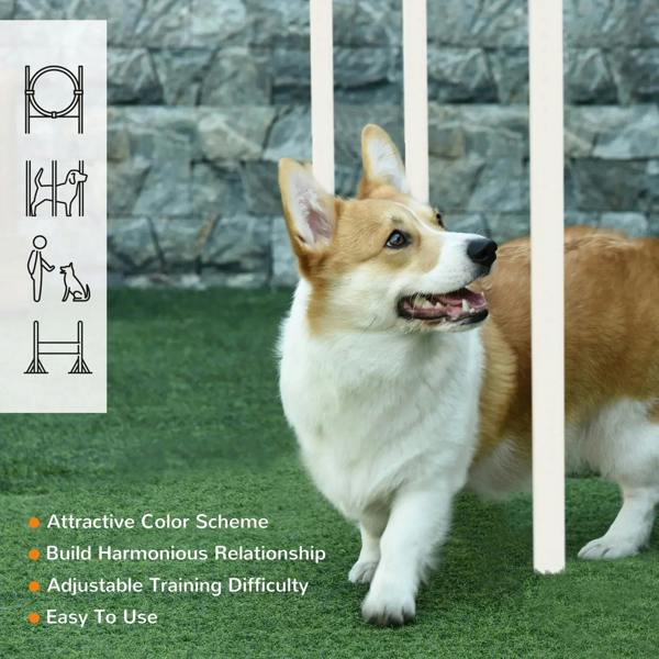 Dog with agility poles and bar jump setup on lawn; includes training set features