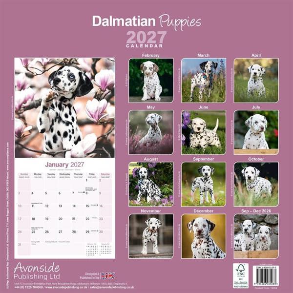 Dalmatian Puppies Calendar 2027, Wall Calendars, Month To View, Dogs, Gift