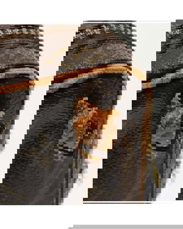 193981637.jpg