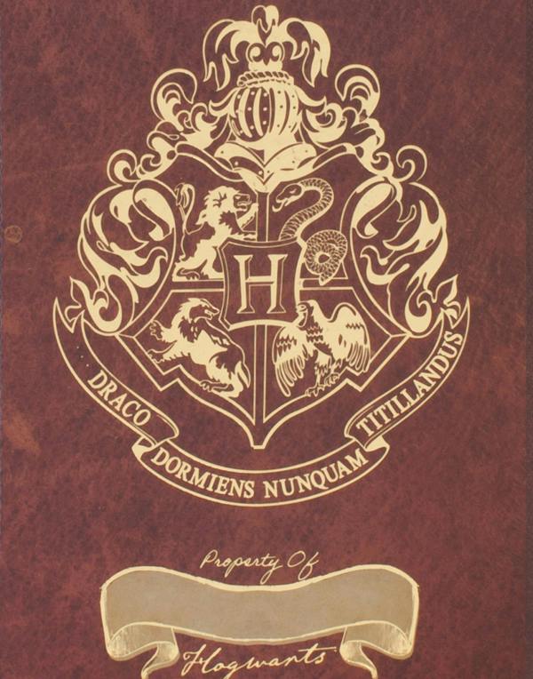 Vanilla Underground Harry Potter Womens Red Composition Notebook and Pen (One Size) [dis]