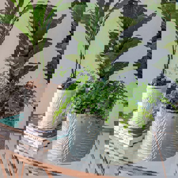 #color_olive