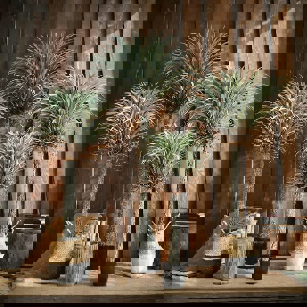 RG93 Artificial Plant-Weilai Concept-Weilai Concept