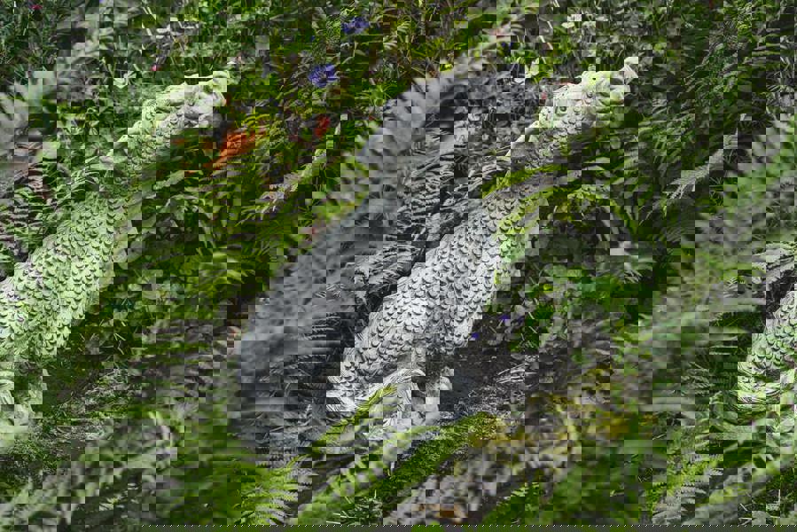 Mythical Terracotta Dragon Stone Cast Ornament