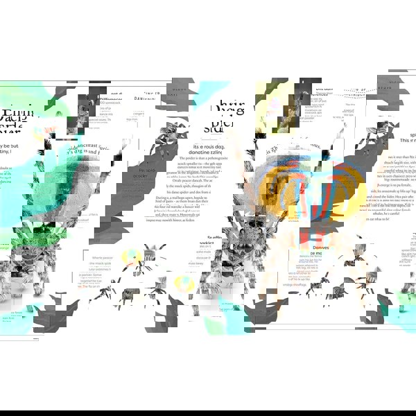 Weird and Wonderful Nature: Tales of More Than 100 Unique Animals, Plants, and Phenomena (DK Treasures)