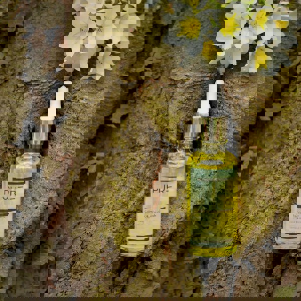 PURE Calm & Nourish Face Oil (30ml) | PURE Spa Skincare