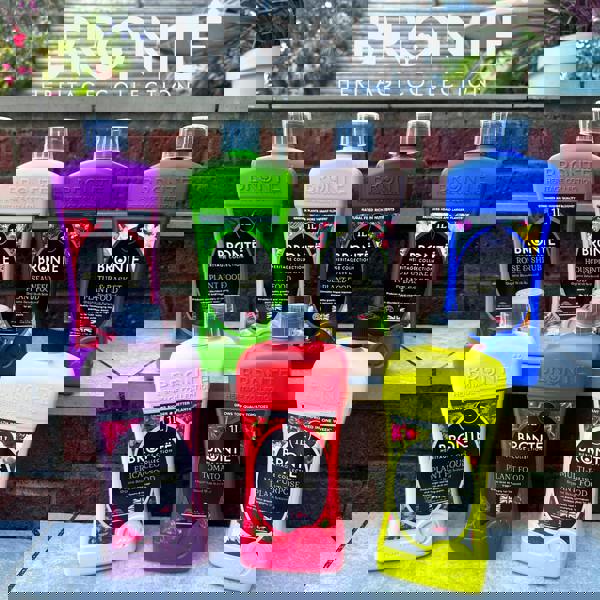 Bronte Heritage Tomato Plant Food 1L – Concentrated liquid feed for indoor & outdoor plants. Boosts growth, yields & resistance. Makes 300L.