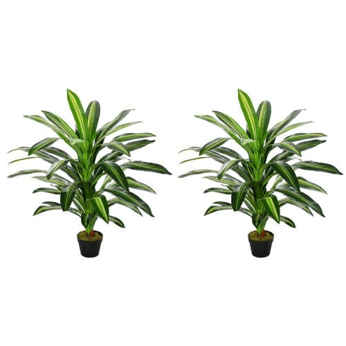 Wyld Haus Baketto Set Of 2 Artificial Dracaena Style Plants For Interior Spaces