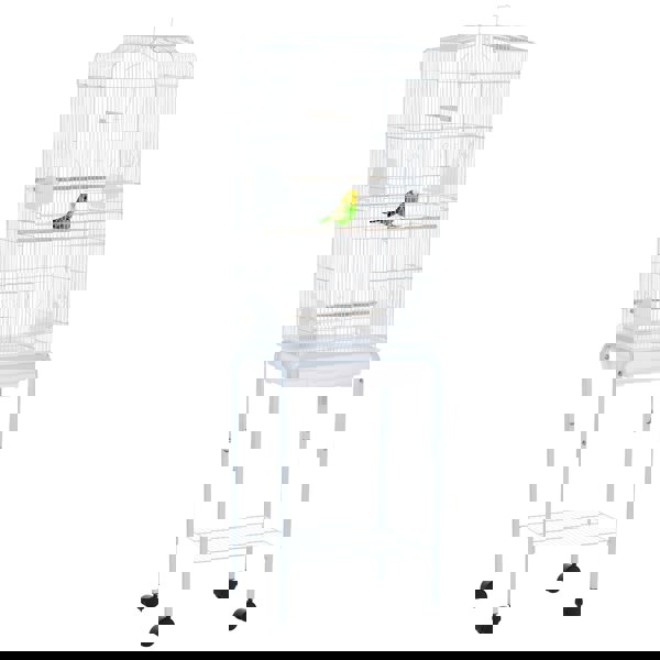 D10-019V01WT