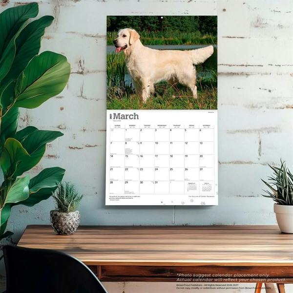 For The Love Of Golden Retrievers Deluxe Calendar 2027, Deluxe Calendars, Month To View, Dogs, Gift
