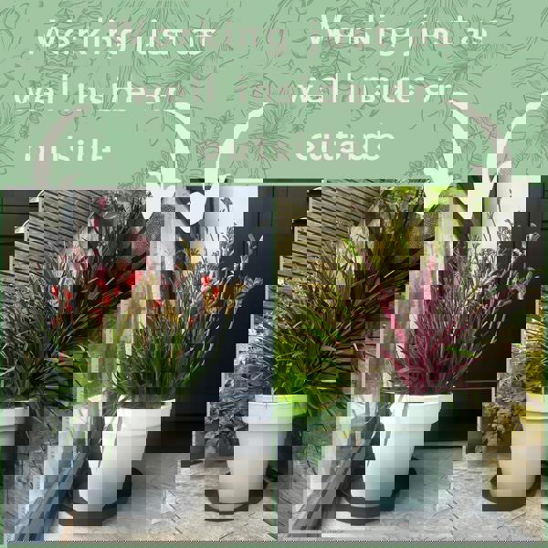 For Inside and Outside Use