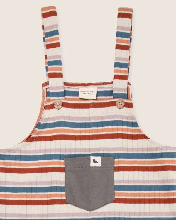 Multicolour Retro Stripe Print Dungarees - image 4