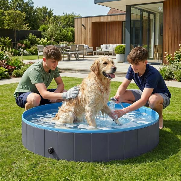 Pet Swimming Pool